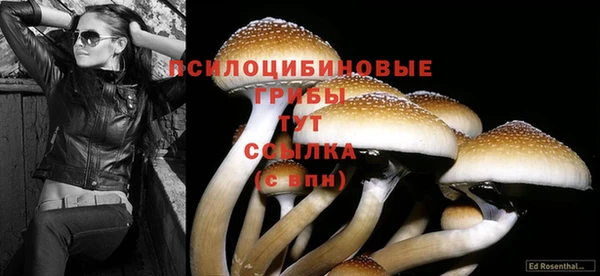 jwh Лагань
