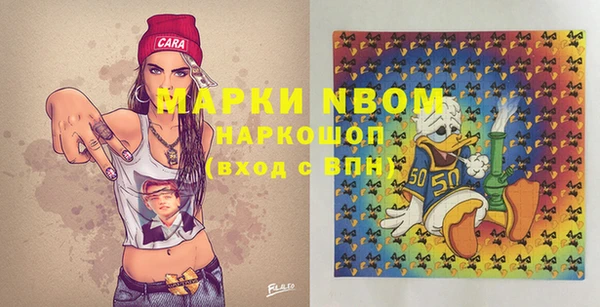 сатива Лабытнанги