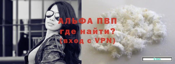 сатива Лабытнанги