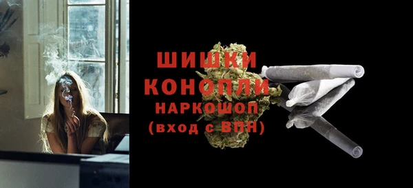 сатива Лабытнанги