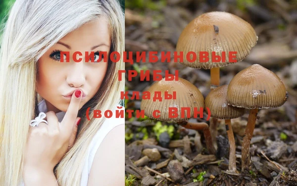 не бодяженный Липки
