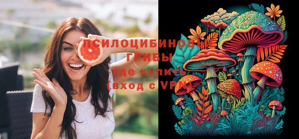 сатива Лабытнанги