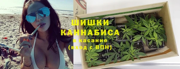 сатива Лабытнанги