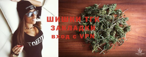 сатива Лабытнанги