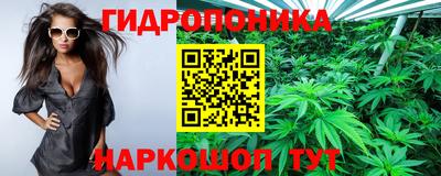 мяу мяу мука Гай
