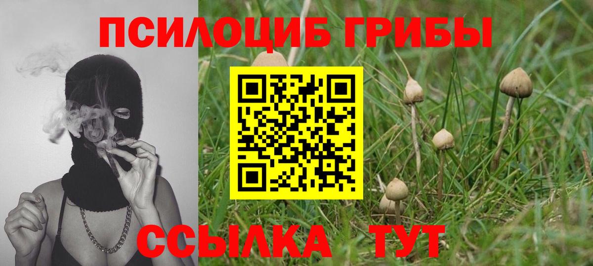 Псилоцибиновые грибы мицелий  Вход с VPN  цена   Галлюциногенные грибы мухоморы  Новый Уренгой 
