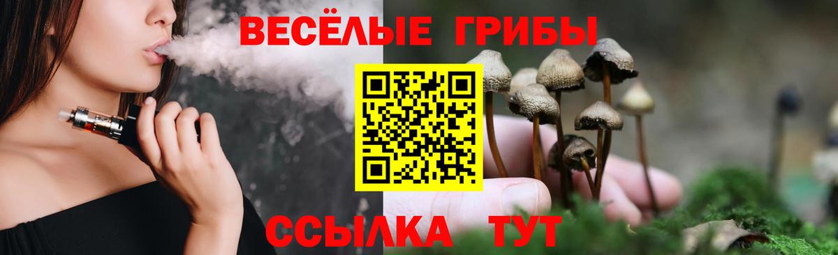 Псилоцибиновые грибы Psilocybe Новый Уренгой